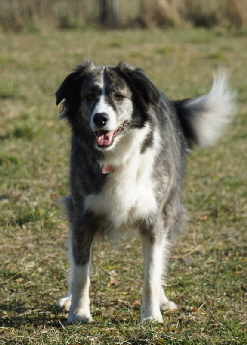 Hundeplatz_20190217_DSC08799