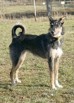 Hundeplatz_20190217_DSC08998