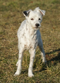 Hundeplatz_20190217_DSC09179