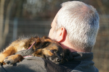 Hundeplatz_20190217_DSC09194