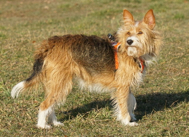 Hundeplatz_20190217_DSC09327