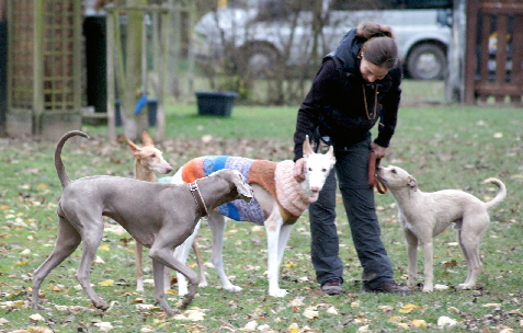 Hundeplatz_DSC05743