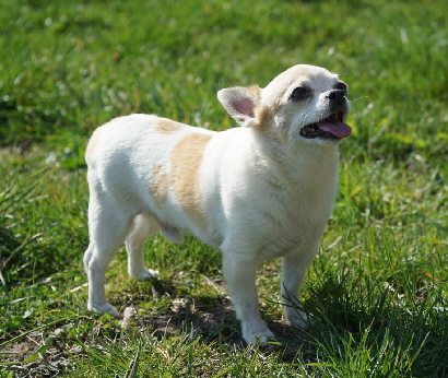 Hundeplatz_DSC09747_1280x853