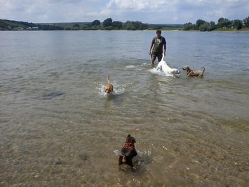 Hundestrand_2014-06-18_0071