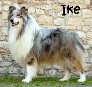 Ike_01_mN