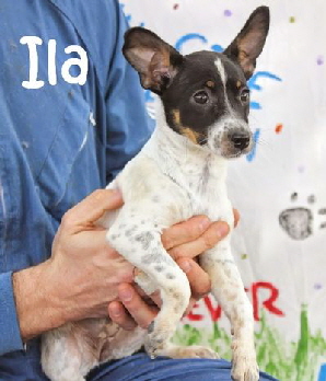 Ila_IMG_8321_mN