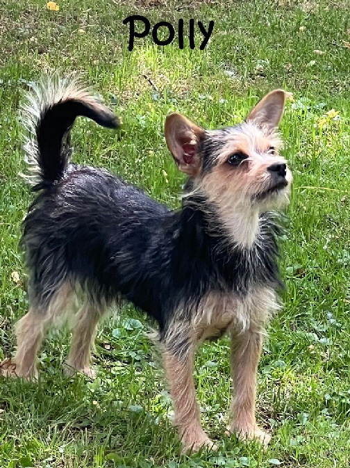 Inga-20250705-WA0004_mN