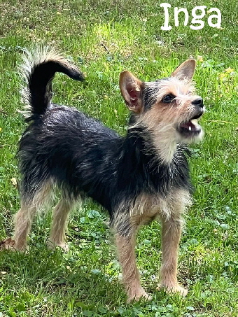 Inga-20250705-WA0006_mN