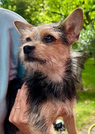 Inga-20250705-WA0021 Inga-20250705-WA0021