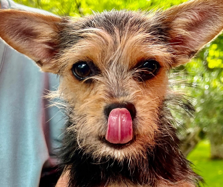 Inga-20250705-WA0022 Inga-20250705-WA0022