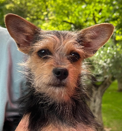 Inga-20250705-WA0024 Inga-20250705-WA0024