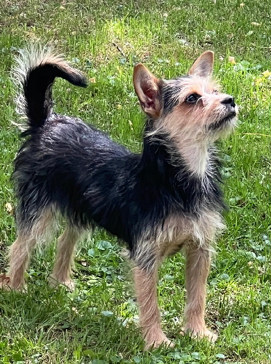 Inga-20250705-WA0028