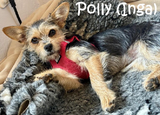 Inga-20250726-WA0005_mN