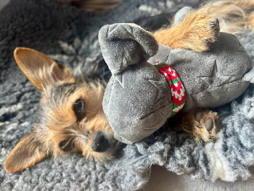 Inga-20250726-WA0006