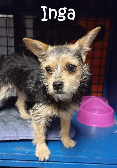 Inga_2025-05-28-1_mN Inga_2025-05-28-1_mN