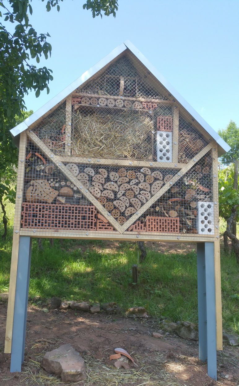 Insektenhotel_Flonheim_20190607_122928