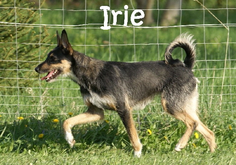 Irie_DSC00568_mN