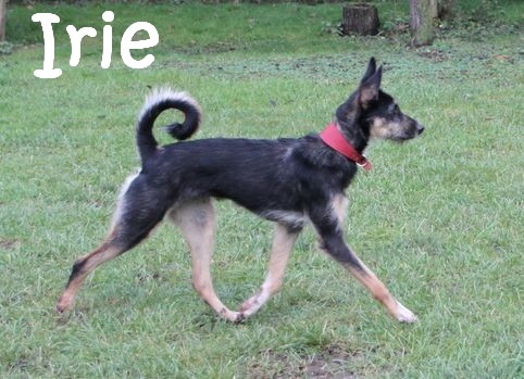 Irie_IMG_2694_mN