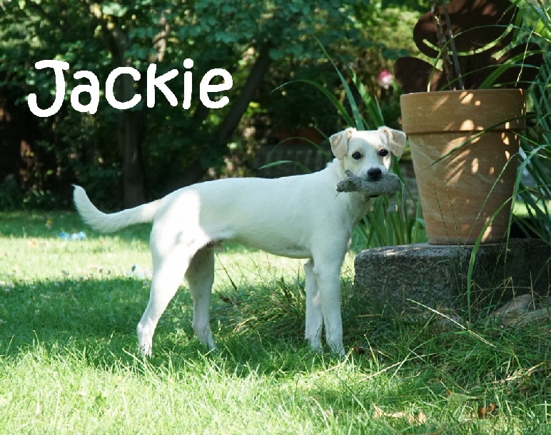 Jackie_DSC04387_mN