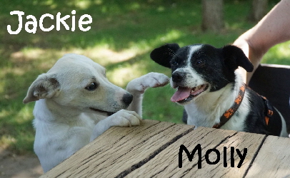 Jackie_DSC04436_mN