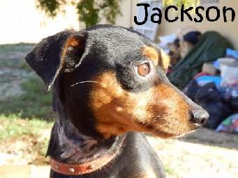 Jackson_9_mitName