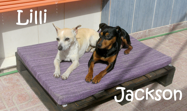 Jackson_mit_Lillie_1mN