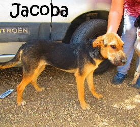 Jacoba_IMG_1053