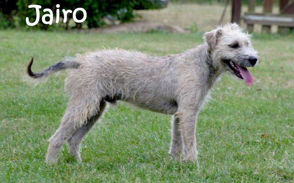 Jairo_DSC05609_mitName