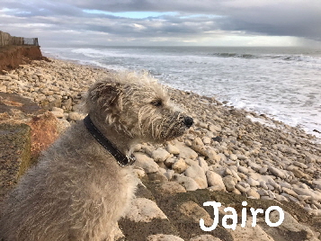 Jairo_IMG-20170201-WA0006_mN