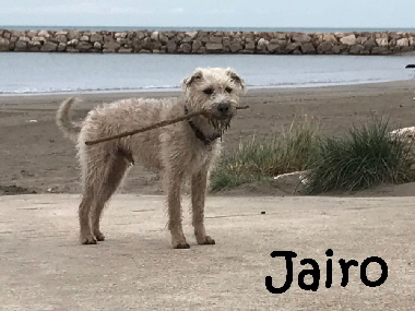 Jairo_IMG-20180205-WA0004_mN
