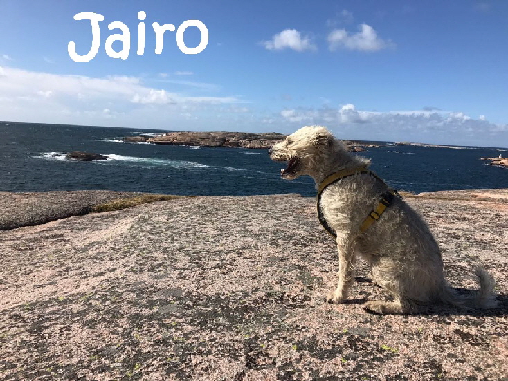 Jairo_in_Schweden_IMG-20170820-WA0004