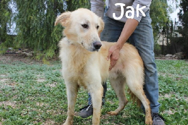 Jak_IMG_6322_640x427