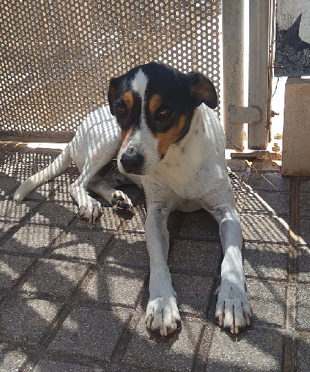 Jano-20250807-WA0003 Jano-20250807-WA0003