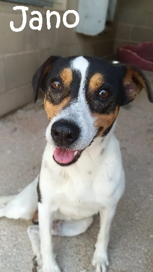 Jano_2025-06-11_21.21.58_mN Jano_2025-06-11_21.21.58_mN