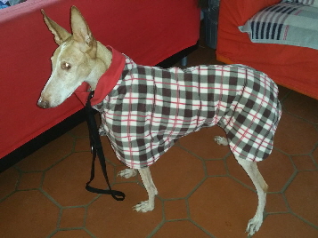 Jenny_20190325_090107
