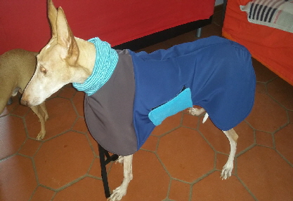 Jenny_20190325_090213