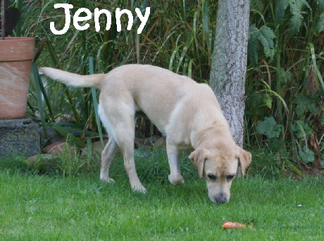 Jenny_DSC00566_mN