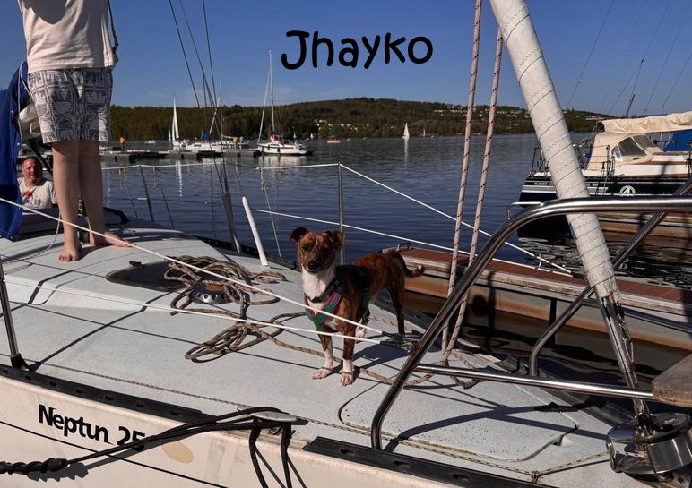 Jhayko-20260423-WA0002_mN Jhayko-20260423-WA0002_mN
