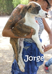 Jorge_IMG_8891
