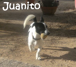 Juanito_BILD3641_mN