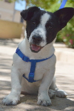 Juanito_DSC_0207