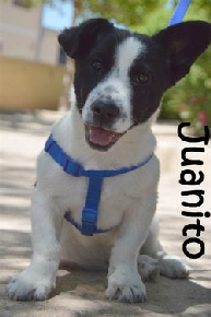 Juanito_DSC_0207_mN