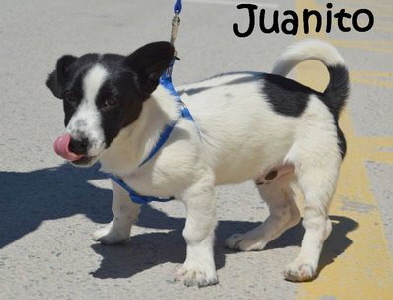 Juanito_DSC_0209_mN