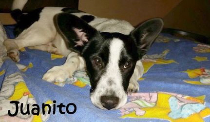 Juanito_IMG-20151015-WA0003_mN