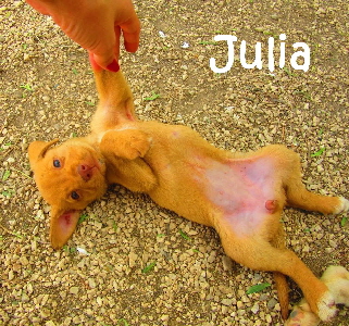 Julia_IMG_1397 Kopie