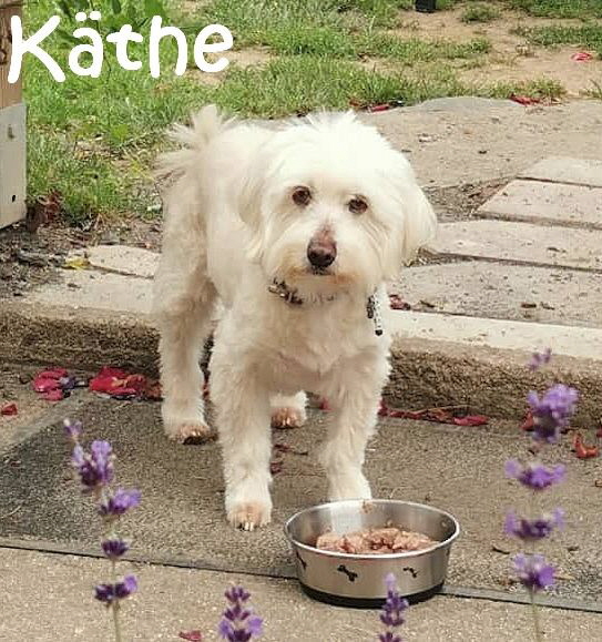 Kthe_313441981_5614888198576508_8619746260150200107_n_mN