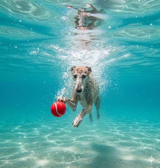 KI_IMG-20251108-WA0044