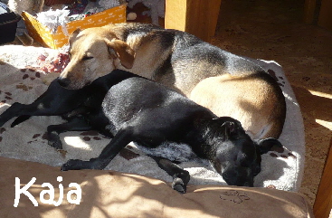 Kaja_P1030791_mN