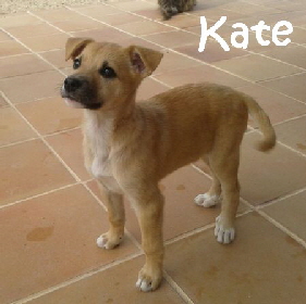 Kate_IMG-20150413-WA011_mN