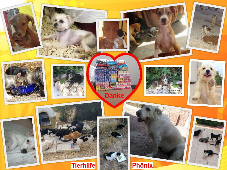 Katja_Collage_1